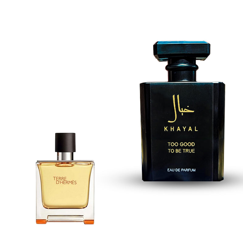 تيري دي هيرمس